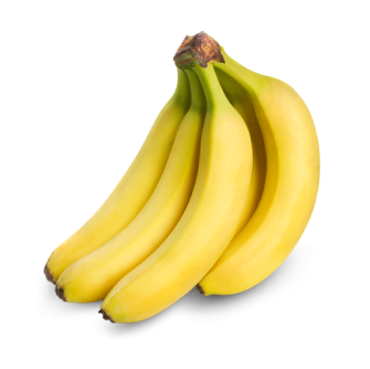 میوه ها و سبزیجات